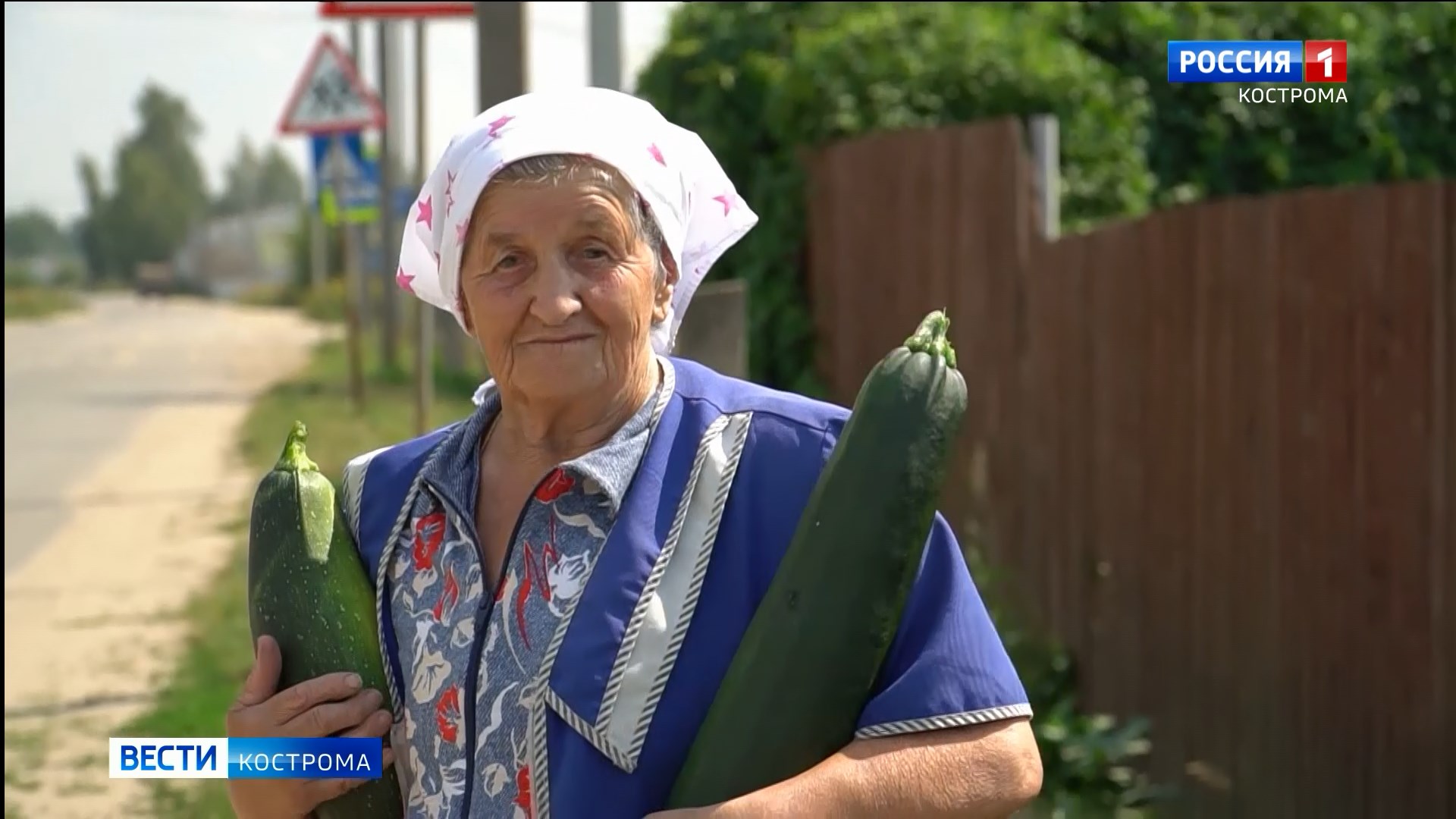 Костромские огородники начали хвалиться кабачками