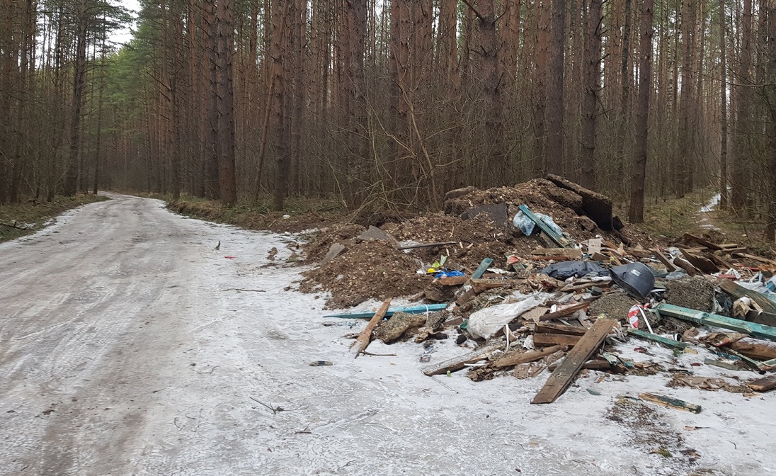 На частных территориях в Костроме обнаружено 17 свалок