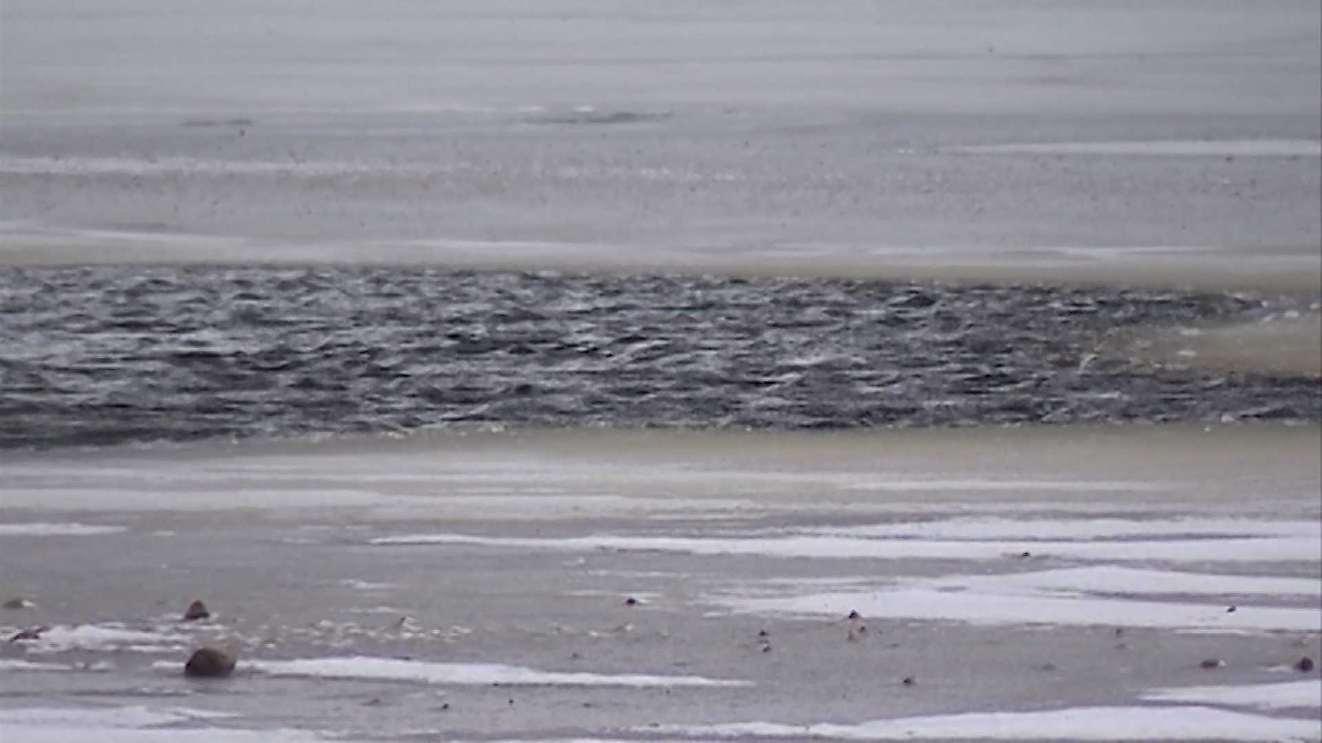 На Чухломском озере появился первый лёд