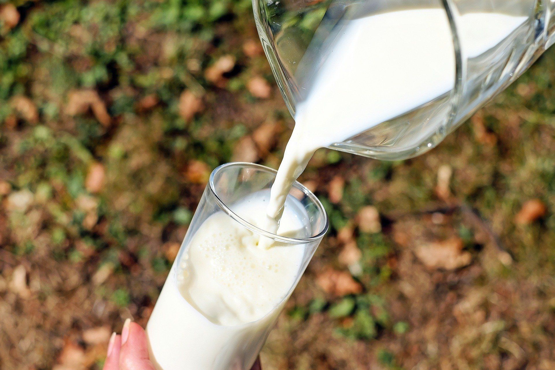 «Золотая осень»: только местное свежее молоко способно превратиться в пломбир