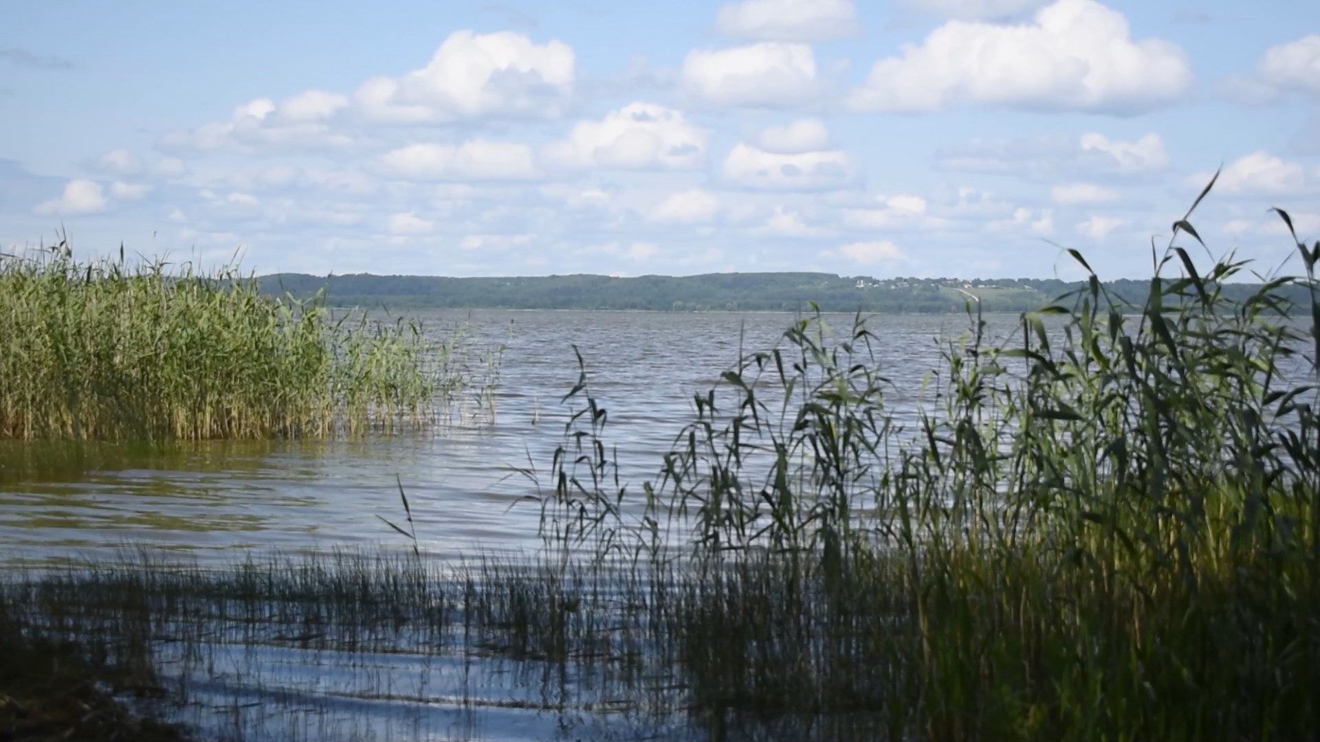 В Галиче завершается подготовка к расчистке крупнейшего озера Костромской области