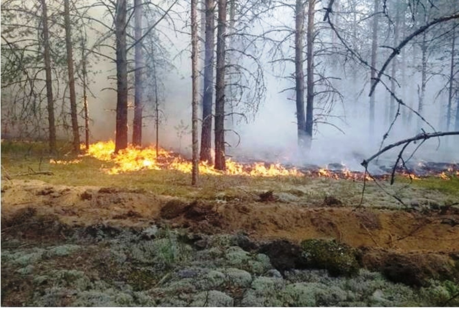 Очередной низовой пожар тушат лесничие под Макарьевом