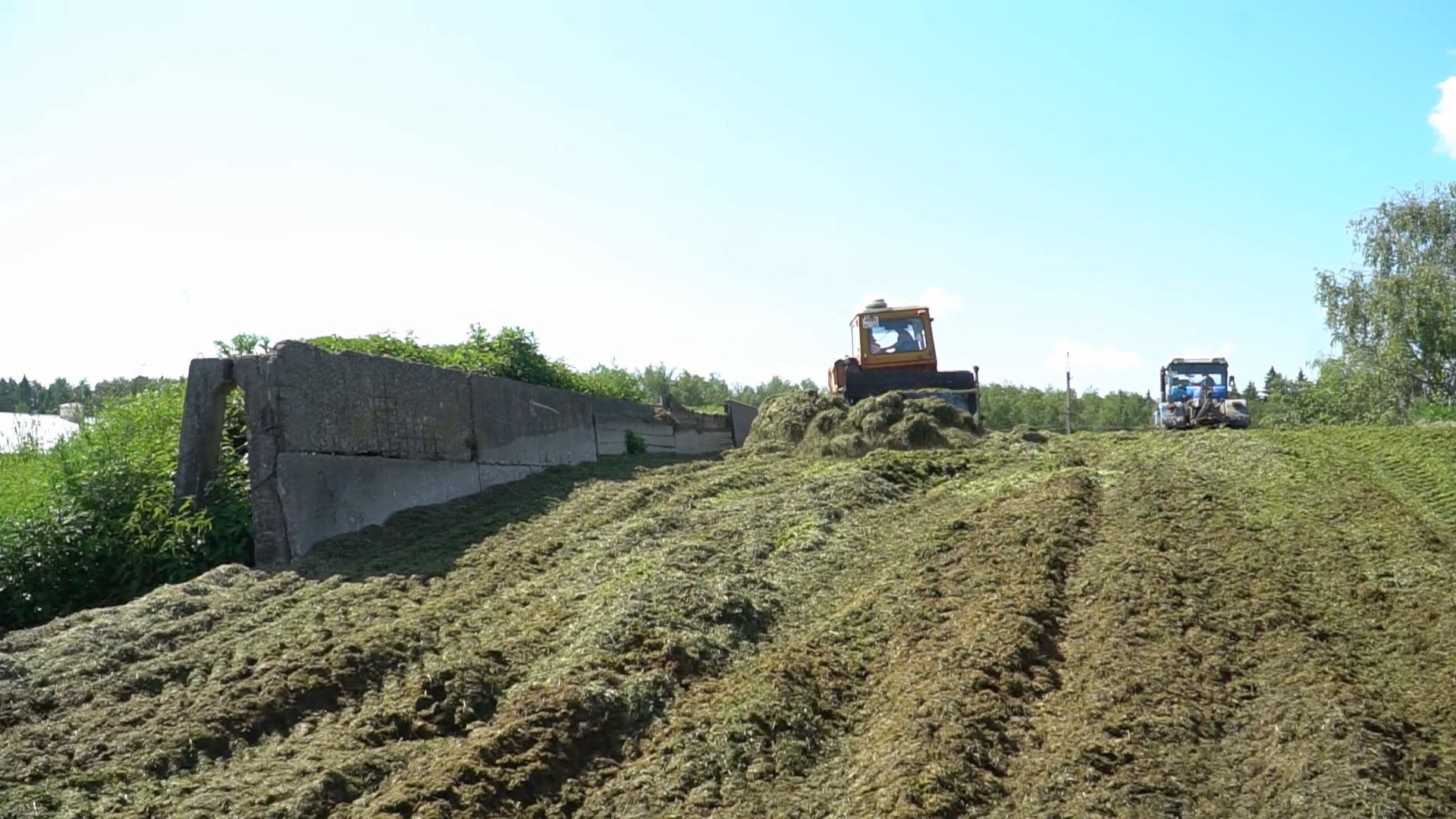 Заготовка кормов в Костромской области продлится до конца сентября