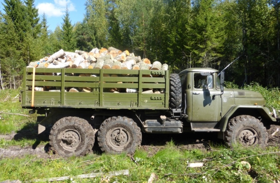 Костромские депутаты озадачились поставкой дров для государственных и муниципальных учреждений