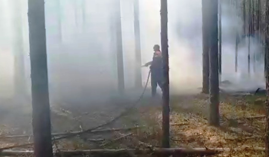 В Костромской области продолжается тушение лесных пожаров