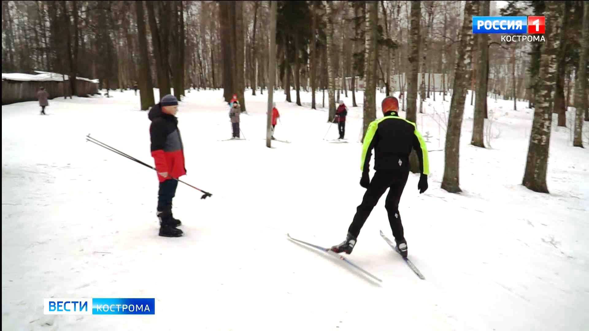Лыжников из костромской спортшколы беспокоят дети и собаки