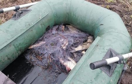 Сразу в трех районах Костромской области стражи порядка поймали рыбаков-браконьеров