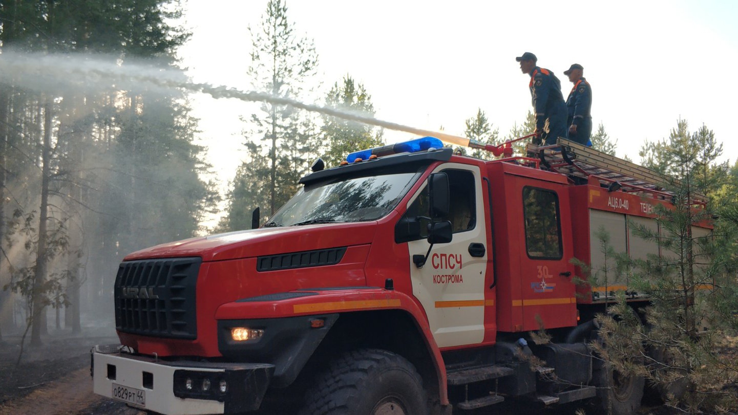 Лесной пожар в Кологривском районе Костромской области оперативно потушили за час