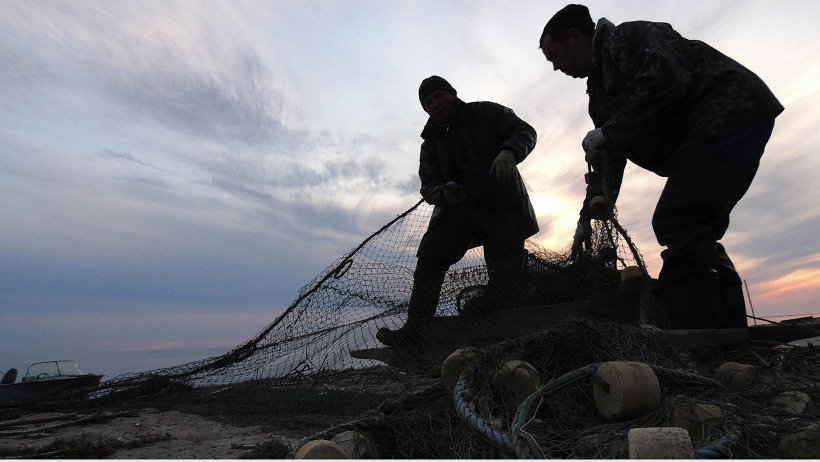 Четверть улова костромских рыбаков не проверяется на пригодность