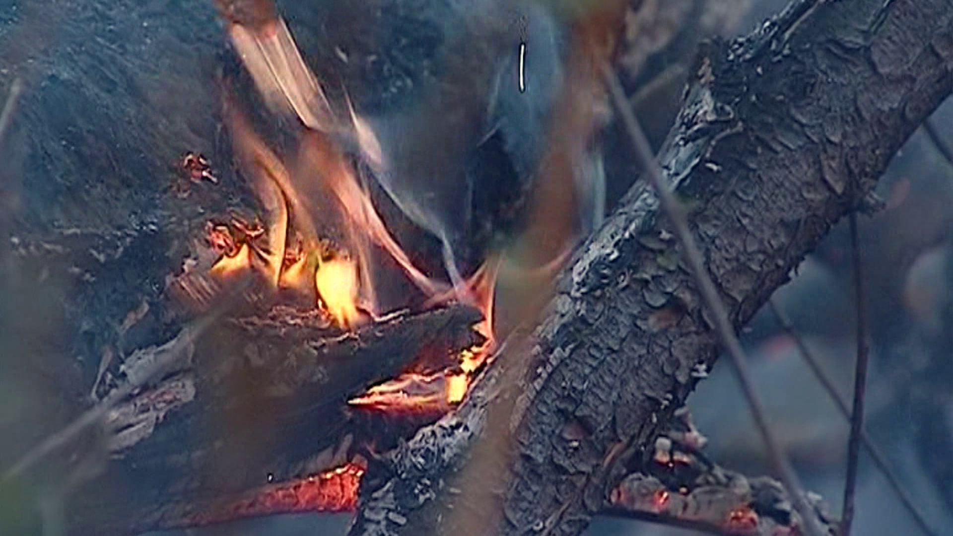 Специалисты опасаются в этом году сильных пожаров в костромских лесах