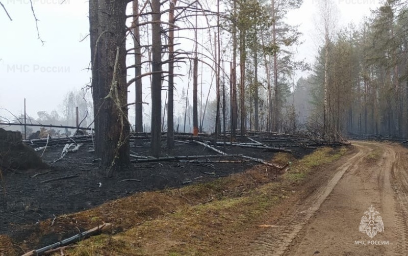 В Парфеньевском районе полностью ликвидировали лесной пожар