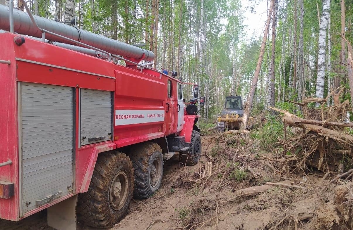 В Костромской области ликвидируют низовой пожар в Парфеньевском районе
