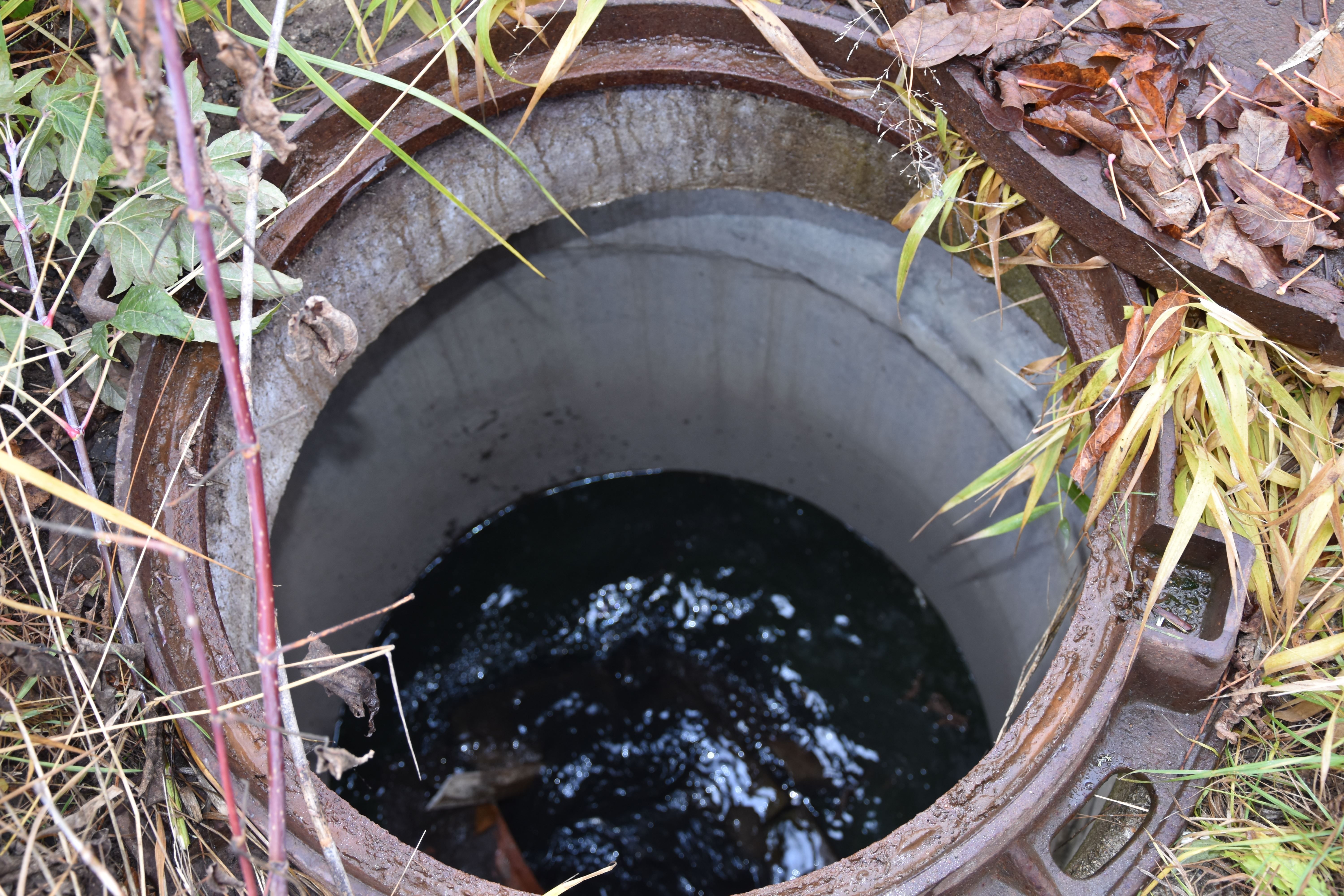 В Костроме найдены предприятия, сливавшие нечистоты в ливневую канализацию