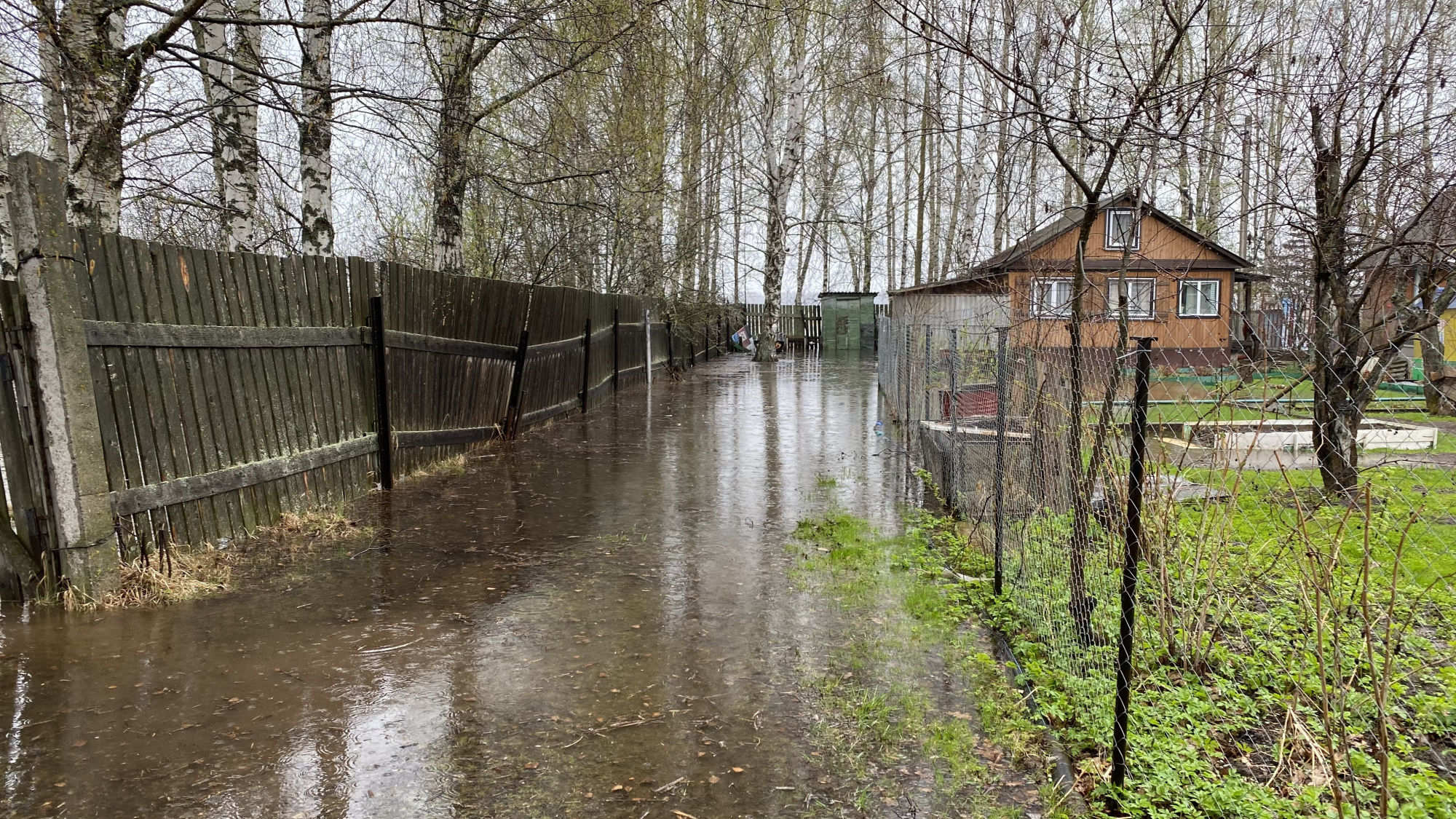 Уровень воды в Волге продолжает подниматься в Костроме