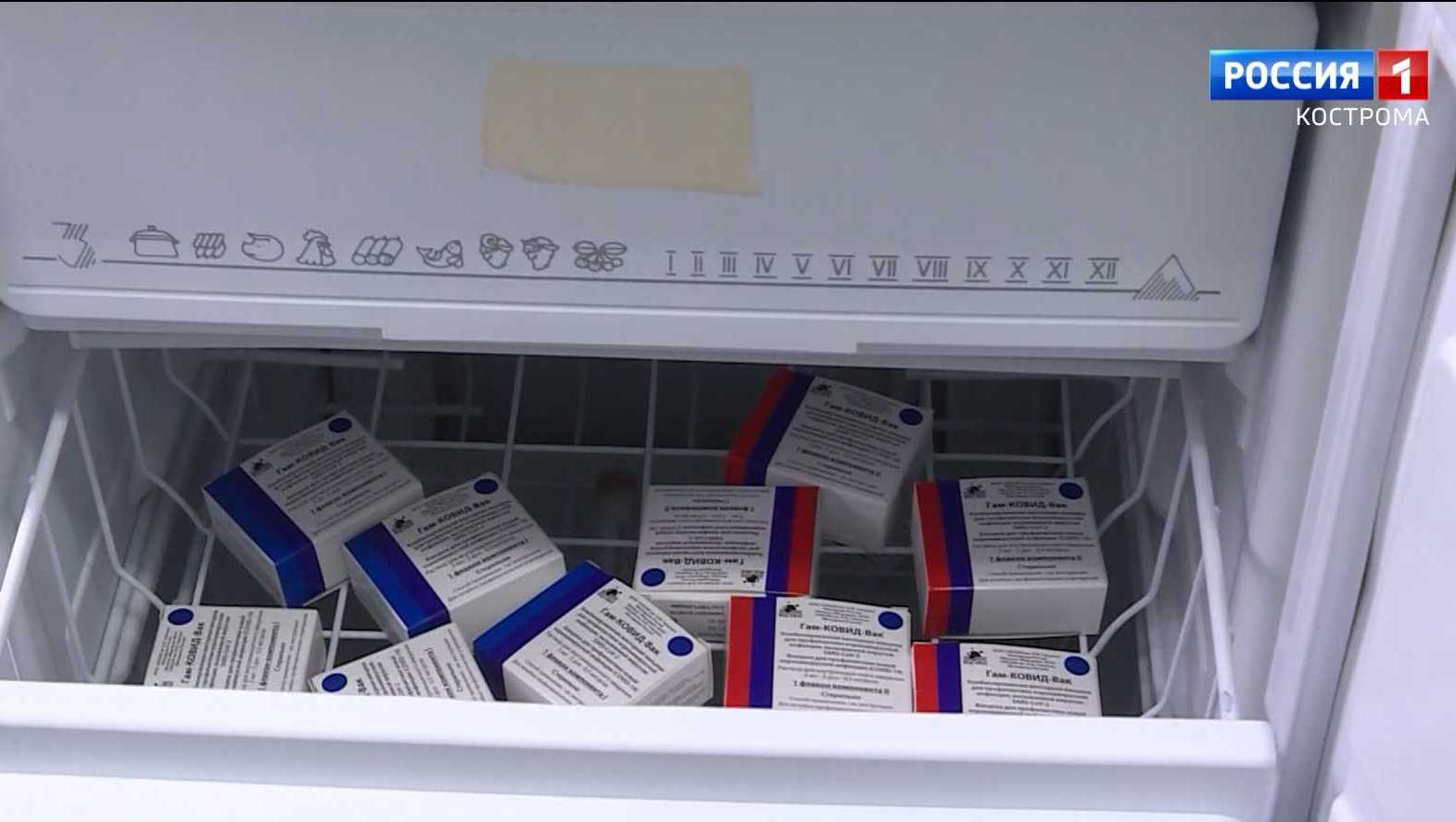 хранение вакцин в холодильнике по полкам