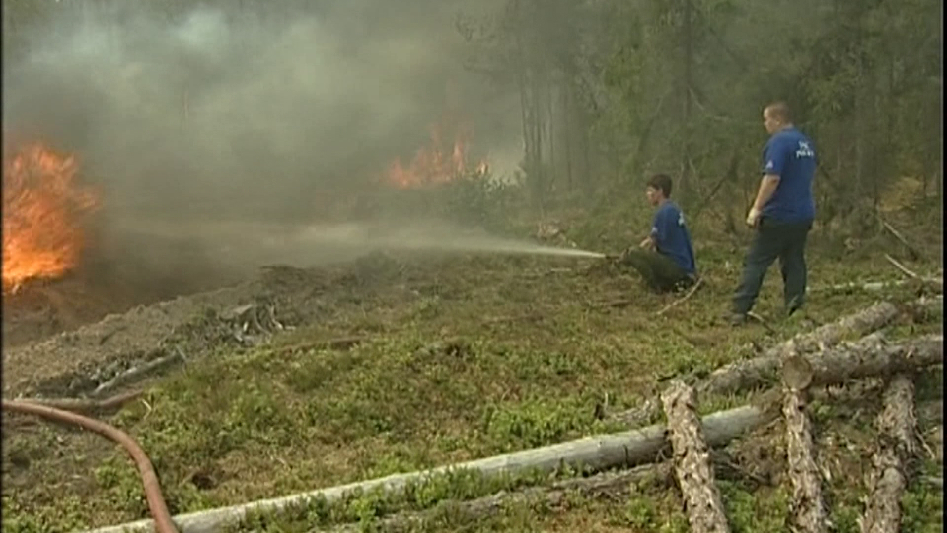 Лесные пожары в Костромской области за неделю охватили 113 гектаров