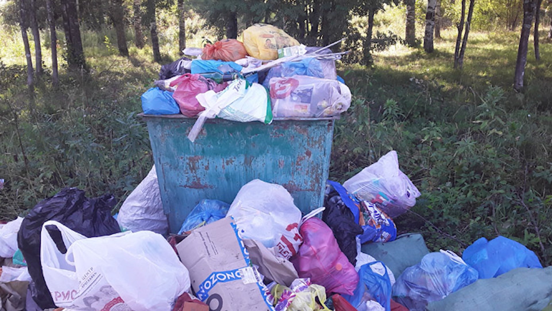 В костромском райцентре обострилась мусорная проблема
