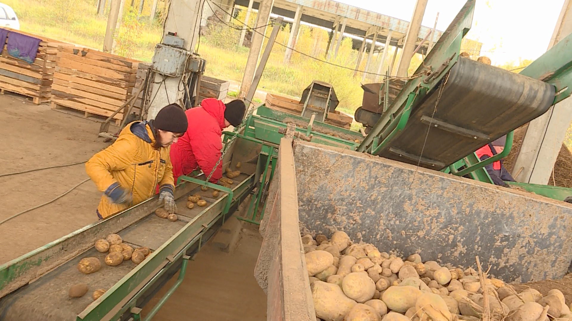 Сельхозтоваропроизводителей в Костроме наградят по заслугам