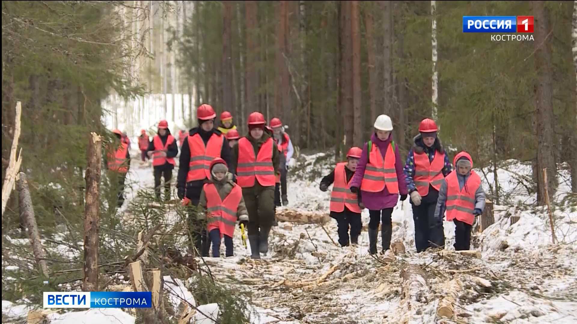Дети вышли с дозором на лесные делянки в Костромской области