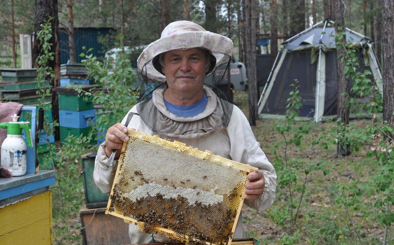 Власти обеспечат костромским фермерам кешбэк при покупке пчелосемей 