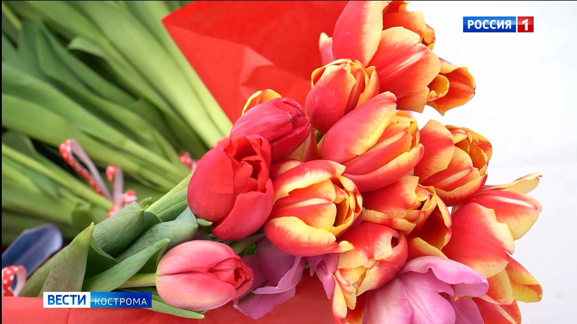 Самым красивым и дисциплинированным водителям в Костроме подарили тюльпаны