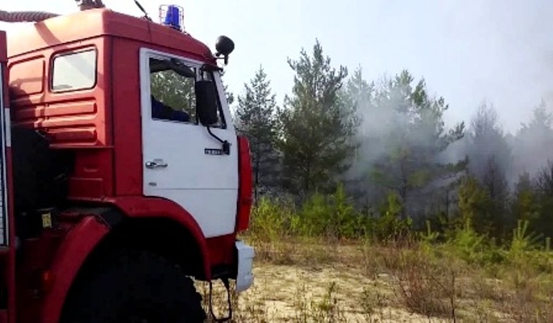 Лесной пожар в Поназыревском районе Костромской области оперативно ликвидировали