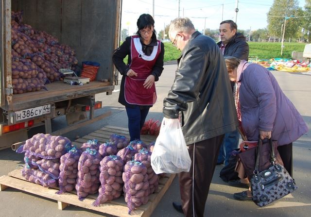 Торговлю овощами в Костромской области организовали на 45 площадках