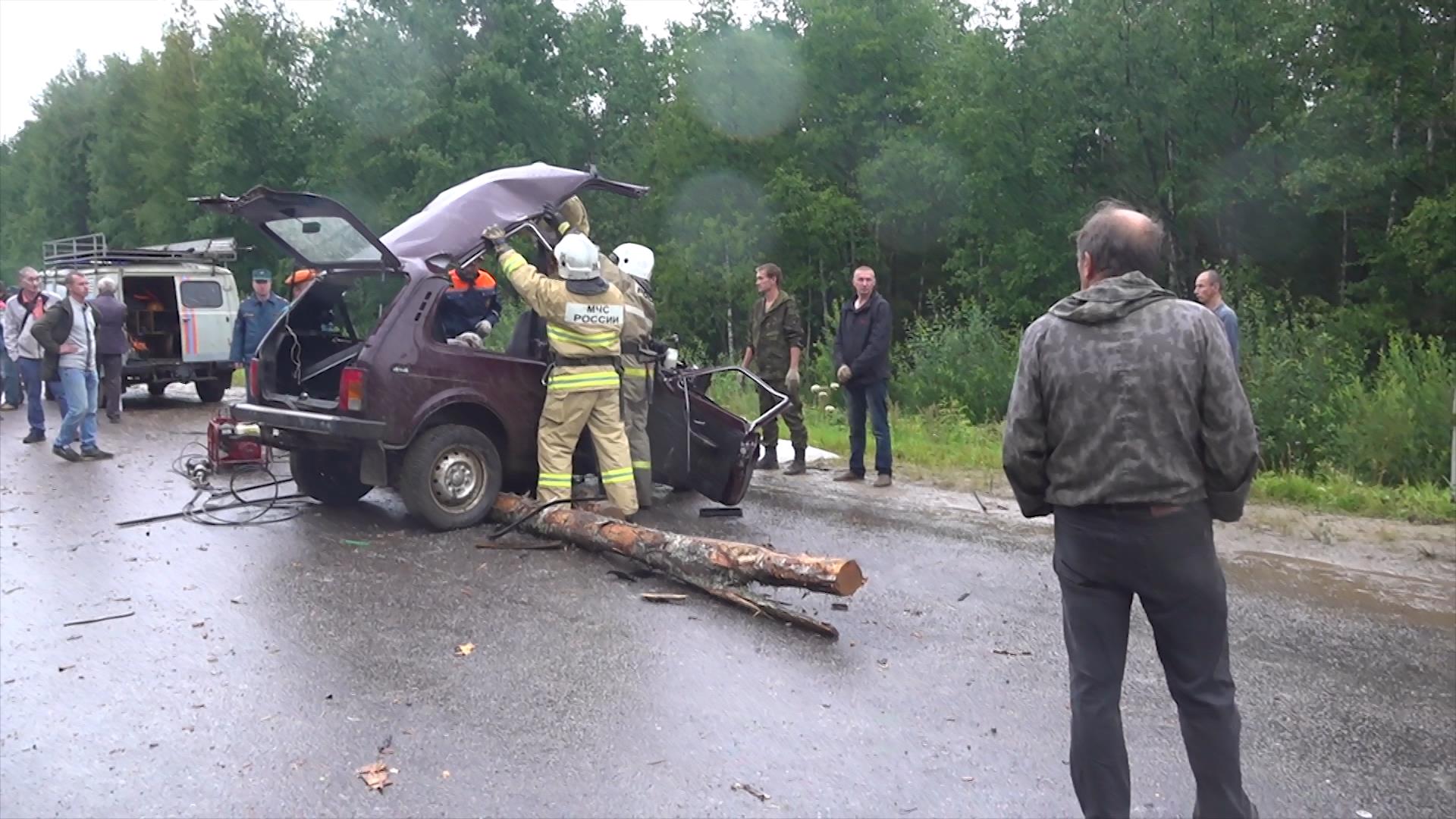 За ДТП с двумя жертвами водитель проведет 4 года в колонии-поселении | ГТРК  «Кострома»