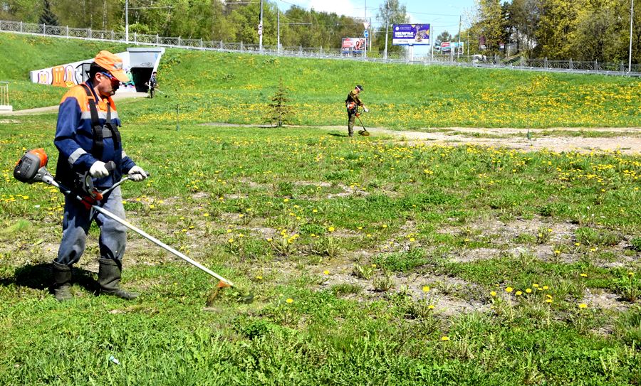 Косить траву в Костроме выйдут дополнительные рабочие