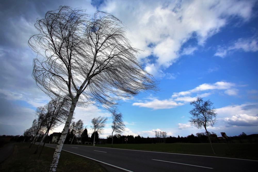 В Костромской области ожидается усиление ветра