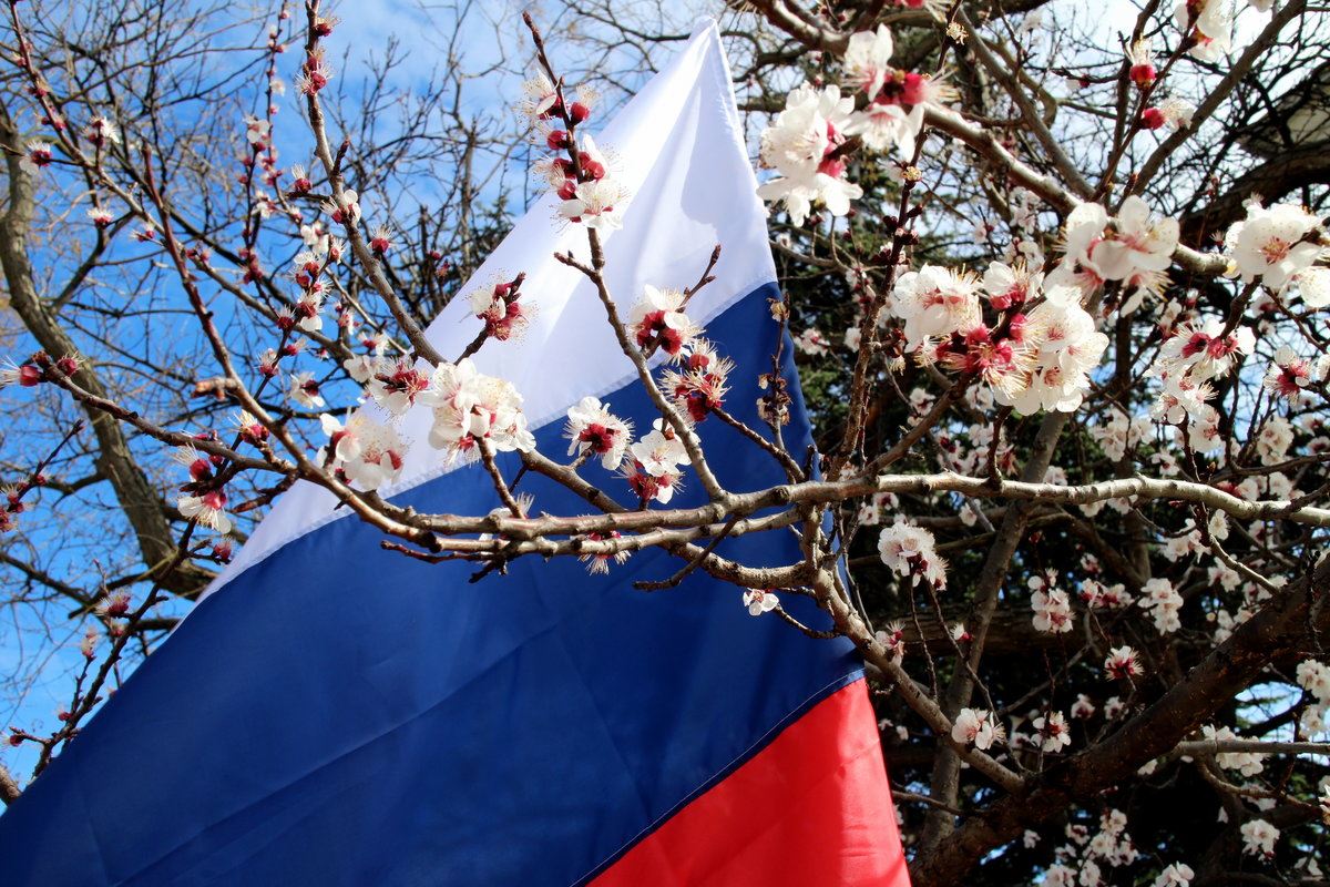 «Крымская весна» в Костроме завершится танцевальным флешмобом