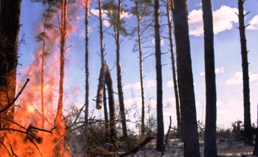 В лесах Костромской области сохраняется IV класс пожароопасности