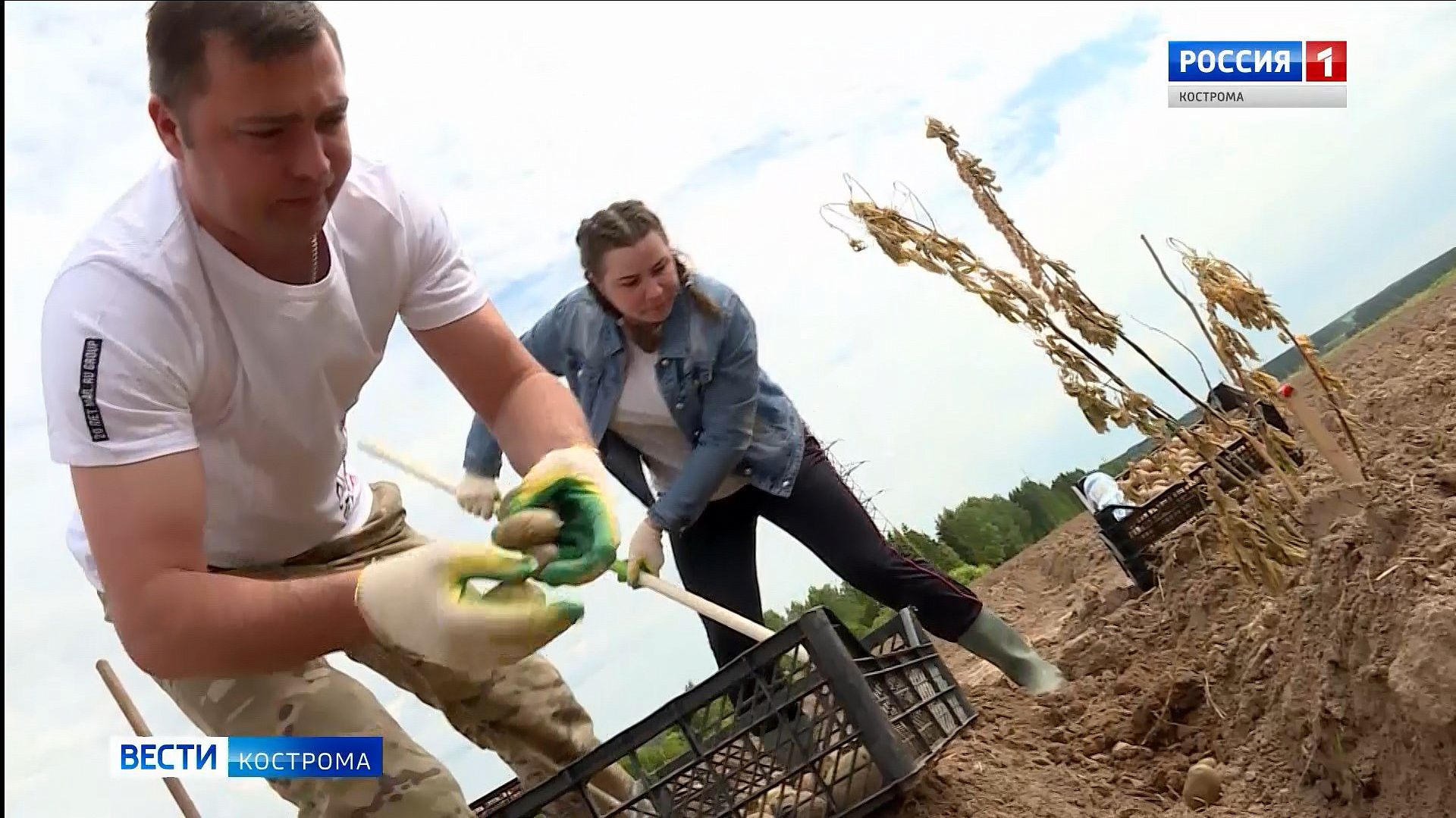 600 костромских семей могут получить бесплатную землю под картошку с овощами