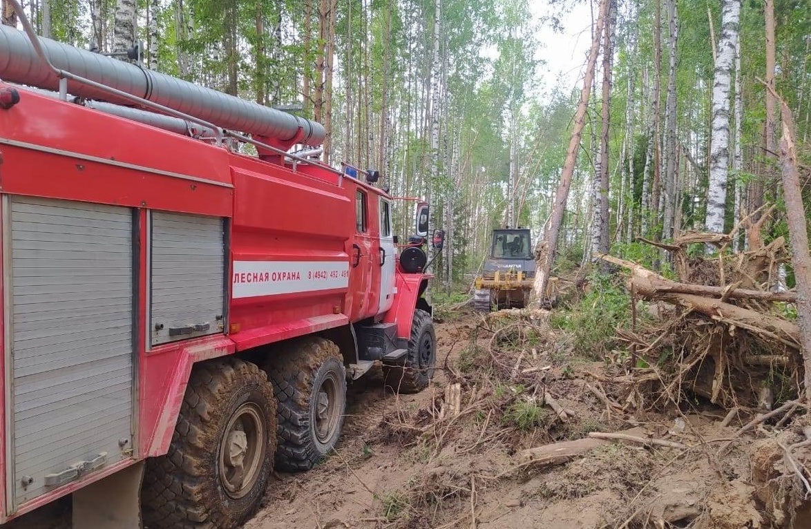 В Парфеньевском районе Костромской области ликвидируют лесной пожар