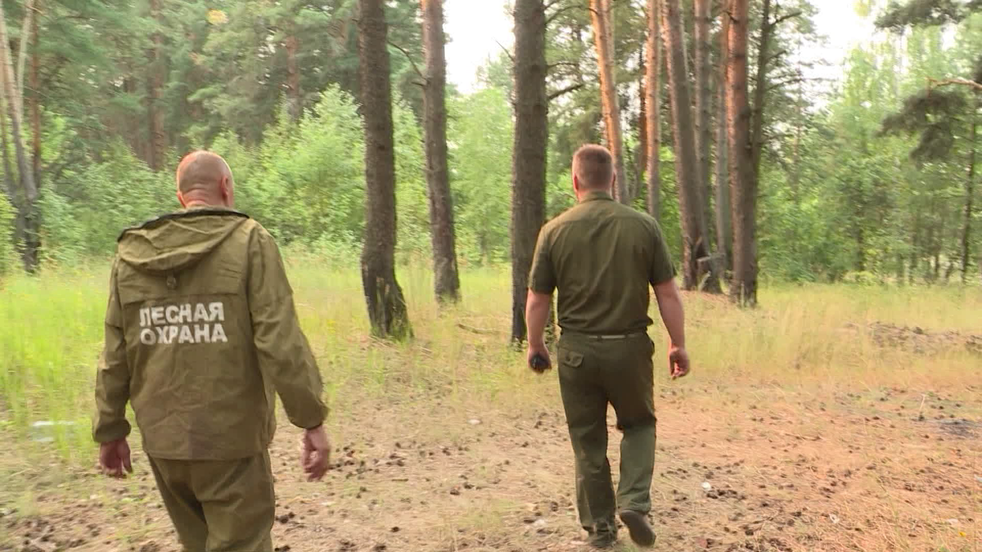 В лесах Костромской области установился высший класс пожарной опасности