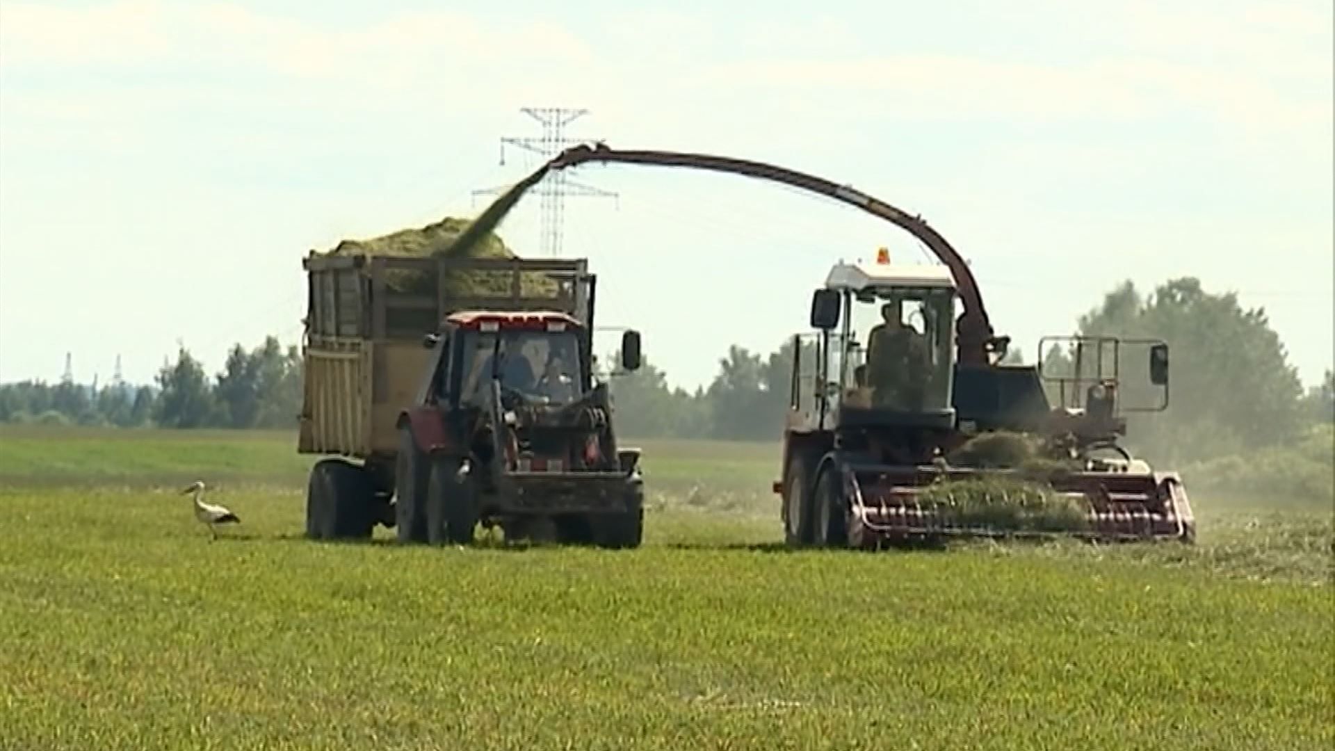 Заготовка кормов в Костромской области идёт не самыми высокими темпами