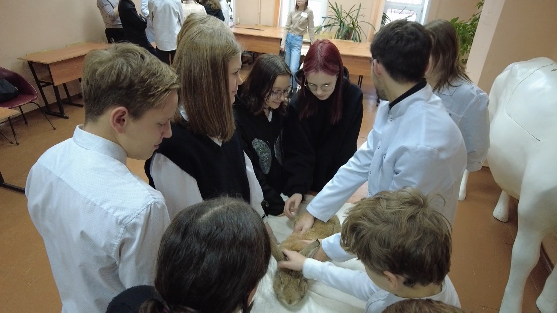 Анималотерапия и беспилотники привлекли костромских школьников в Сельхозакадемию