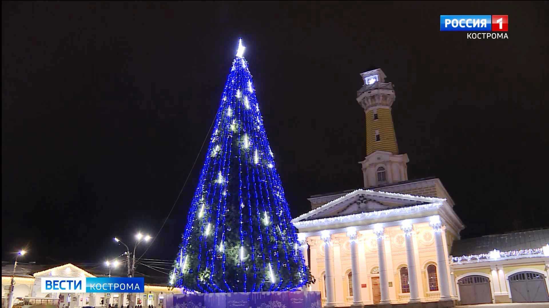 Главная ёлка Костромы зажгла новогодние огни