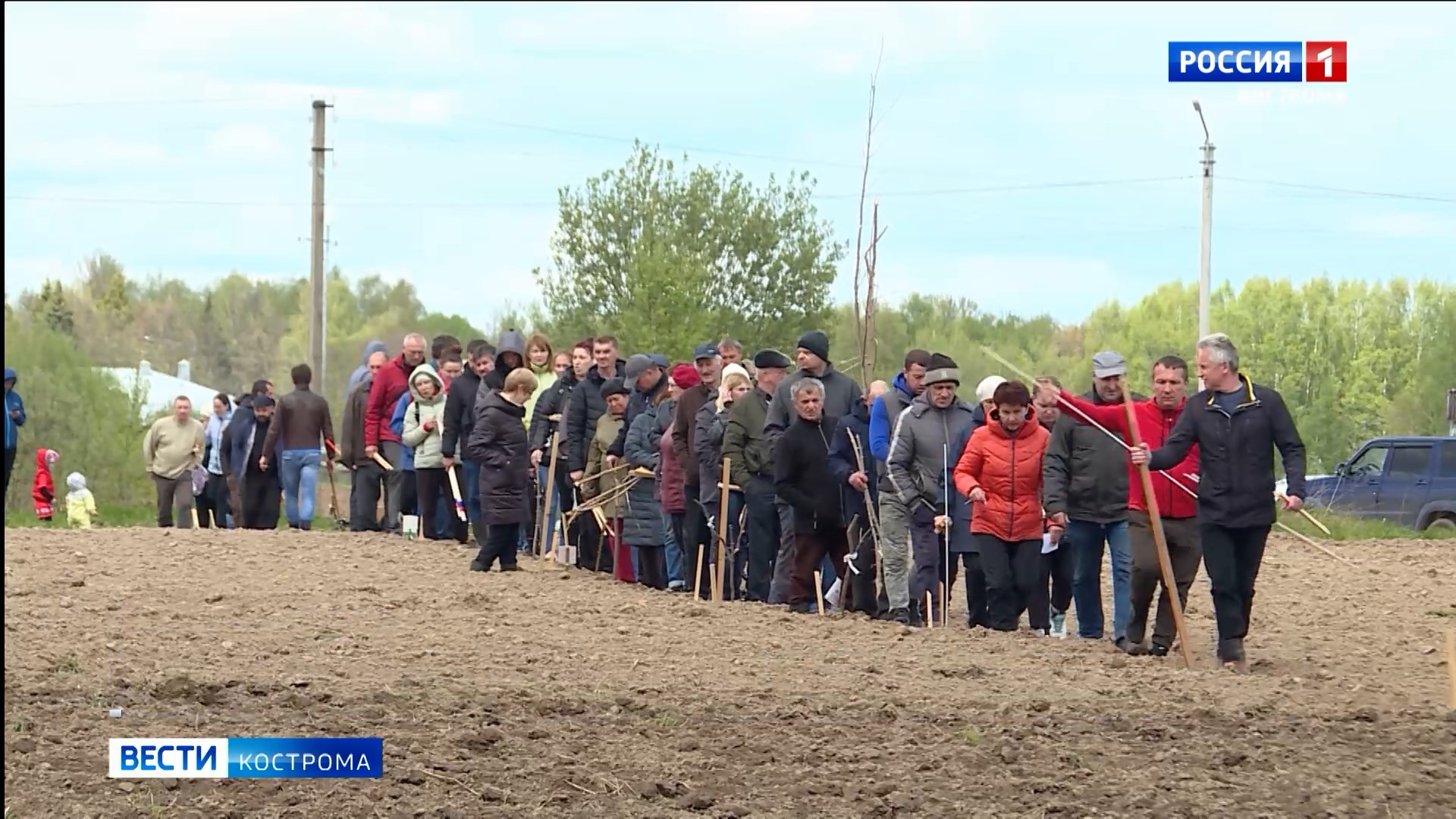 Более 150 семей Костромы заявились на получение бесплатной земли под огороды