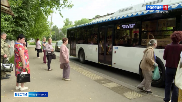На улицы Костромы в День знаний вышли 215 автобусов