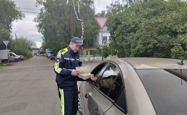 Автополицейские в Костроме оштрафовали четырех водителей за перевозку детей без автокресла