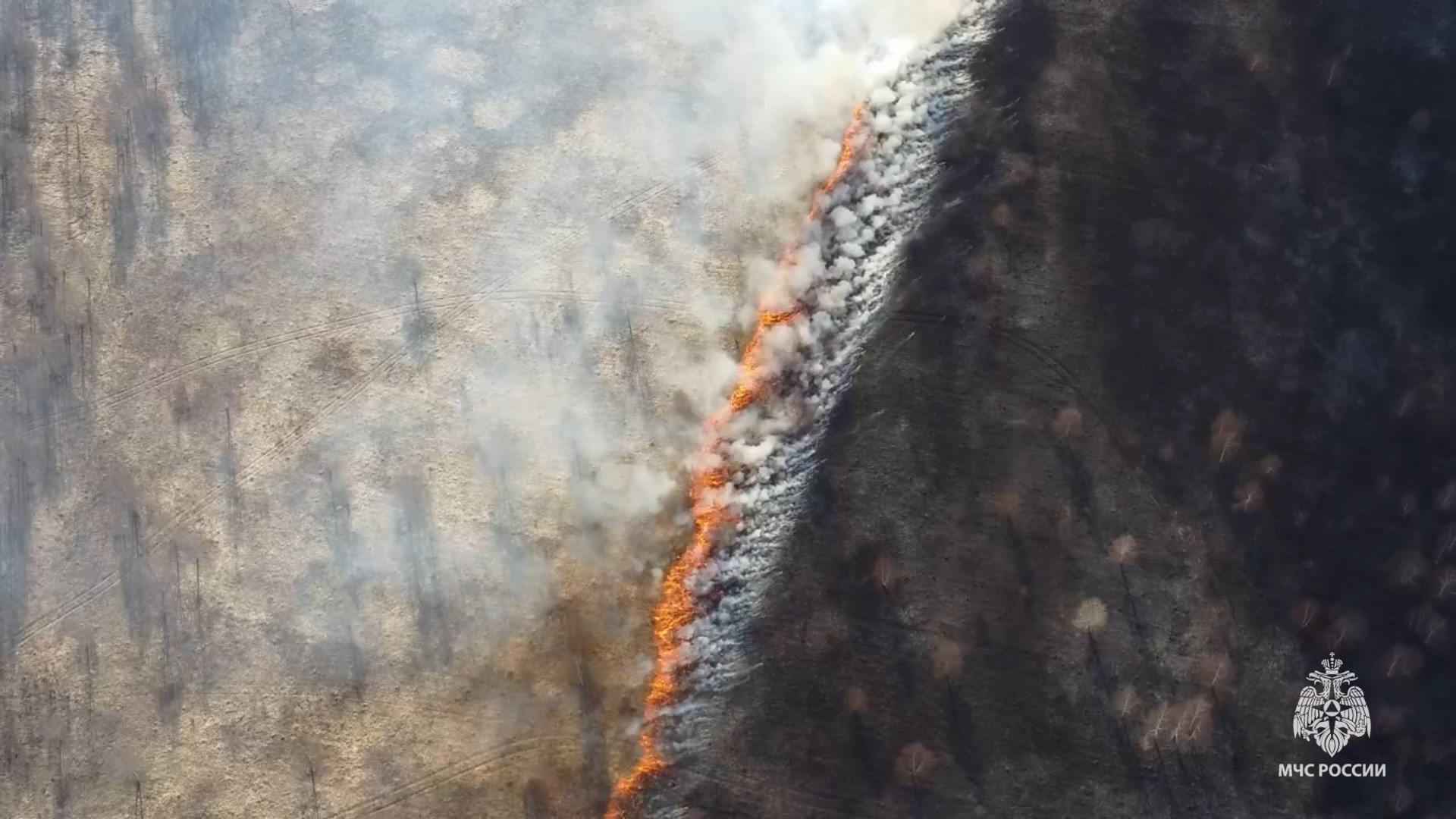 Огнем за неделю в Костромской области уничтожено больше 12 гектаров сухой травы