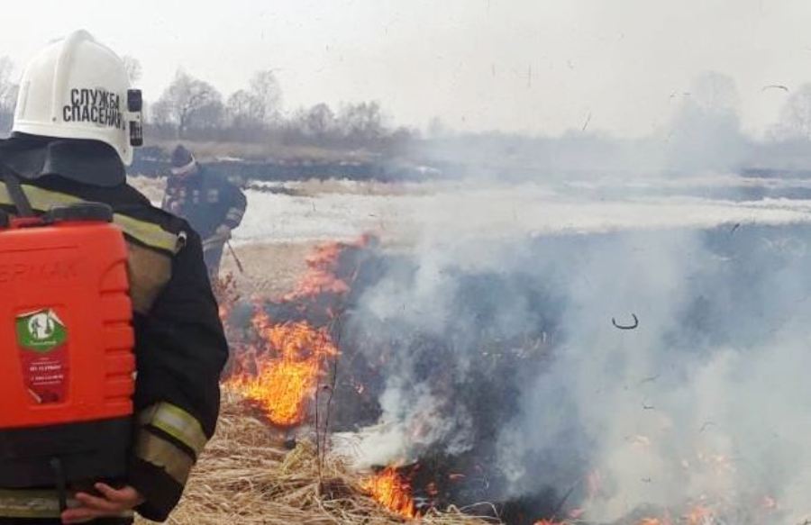 В Костроме введён запрет на пал травы и сжигание мусора
