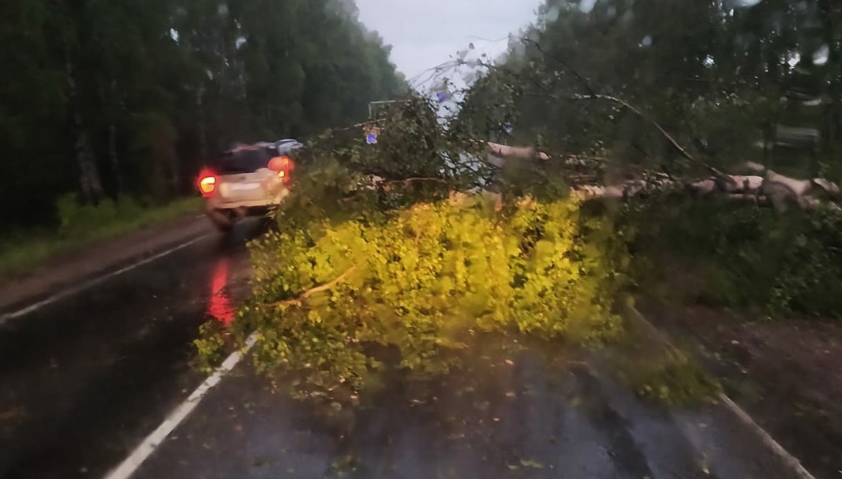 Ряд костромских дорог завалило деревьями