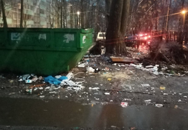 Дорога к детсаду в Костроме погрязла в залежах мусора