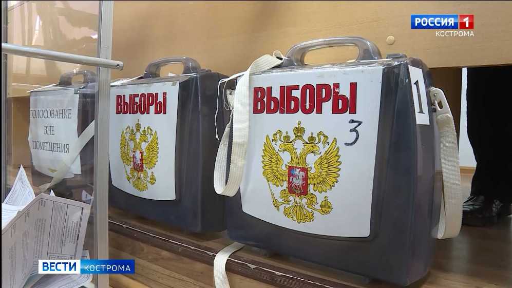 Выборы в разгаре: кого сегодня выбирают в Костромской области?