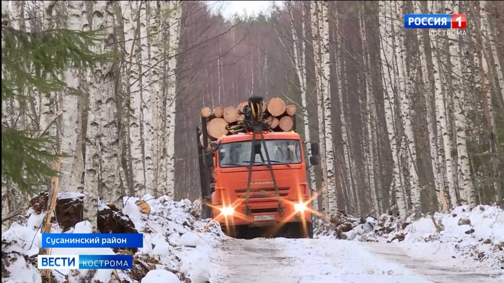 Костромская область попала в ТОП-3 регионов по приросту заготовки леса