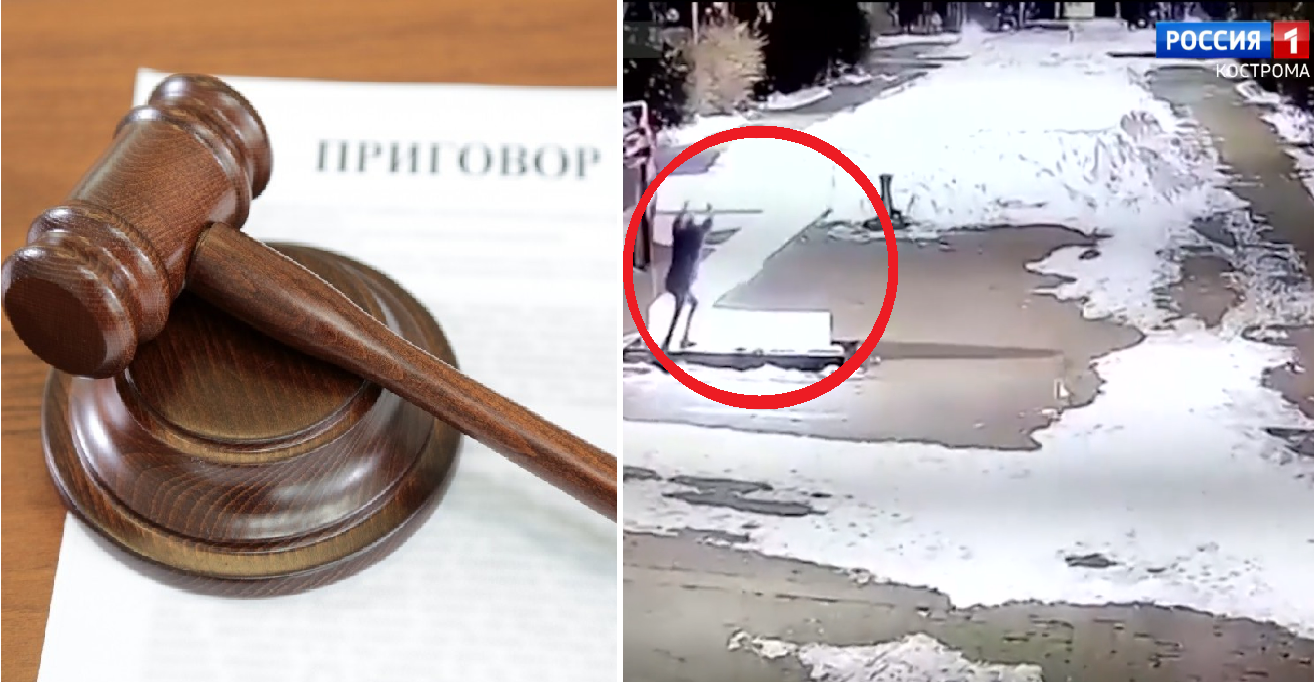 Разрушителя символа «Z» в центре Костромы признали виновным по уголовной статье