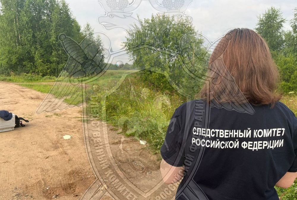 В Костромской области арестован мужчина за попытку изнасилования несовершеннолетней