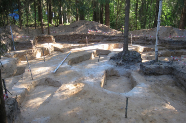 Археологи раскопали в Костромской области богатый могильник